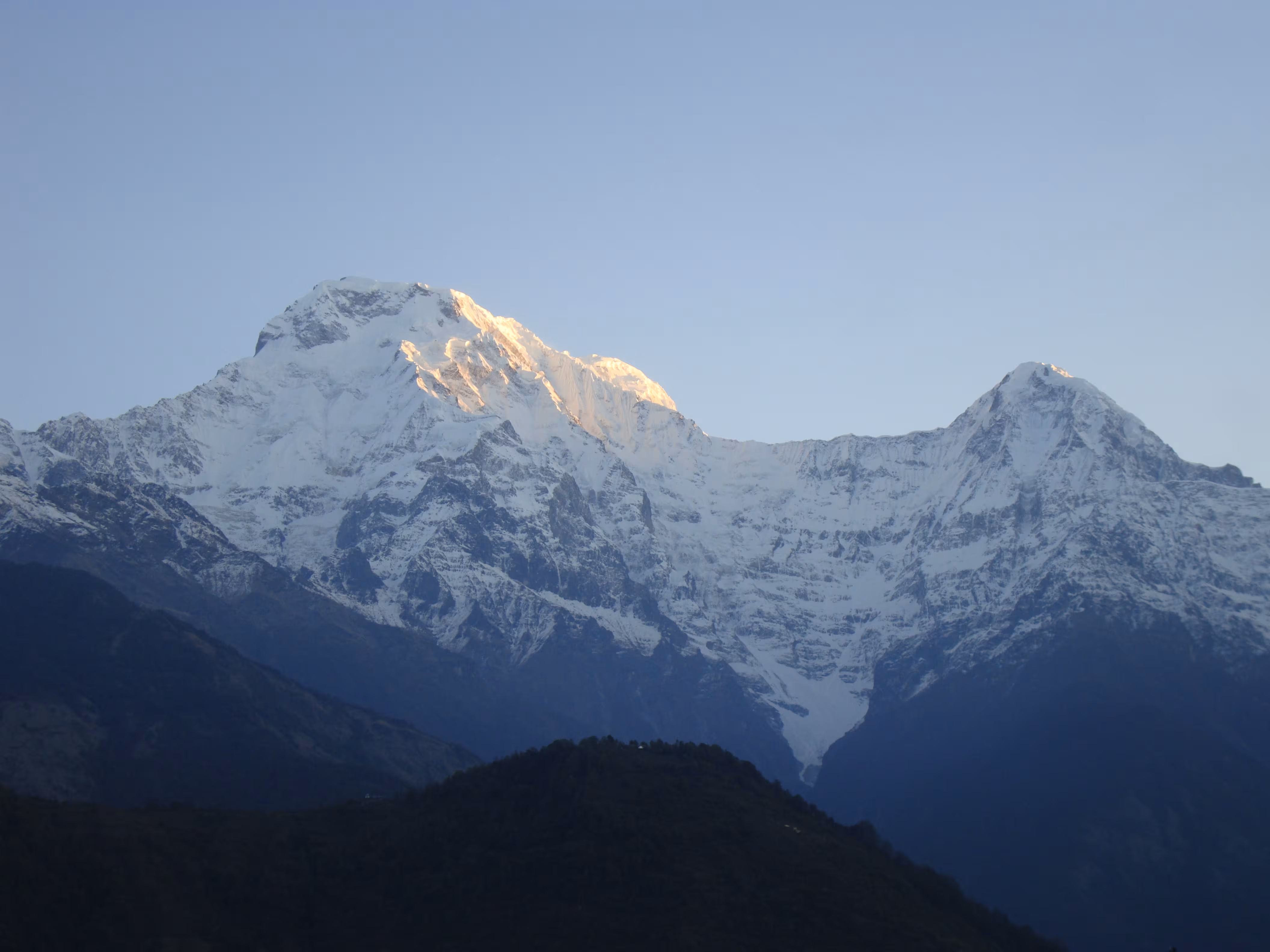 ギャラリー画像 5