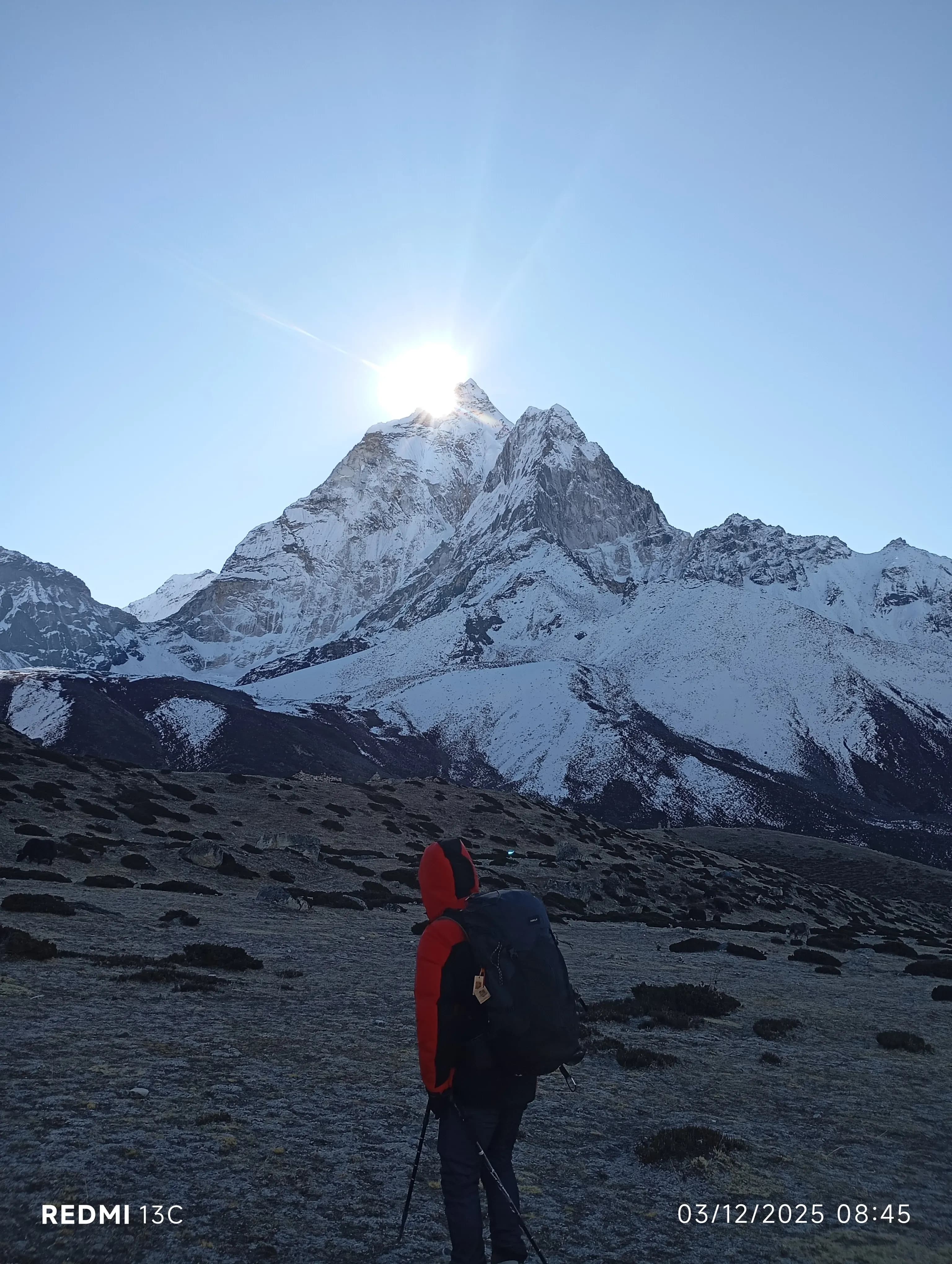 ギャラリー画像 11