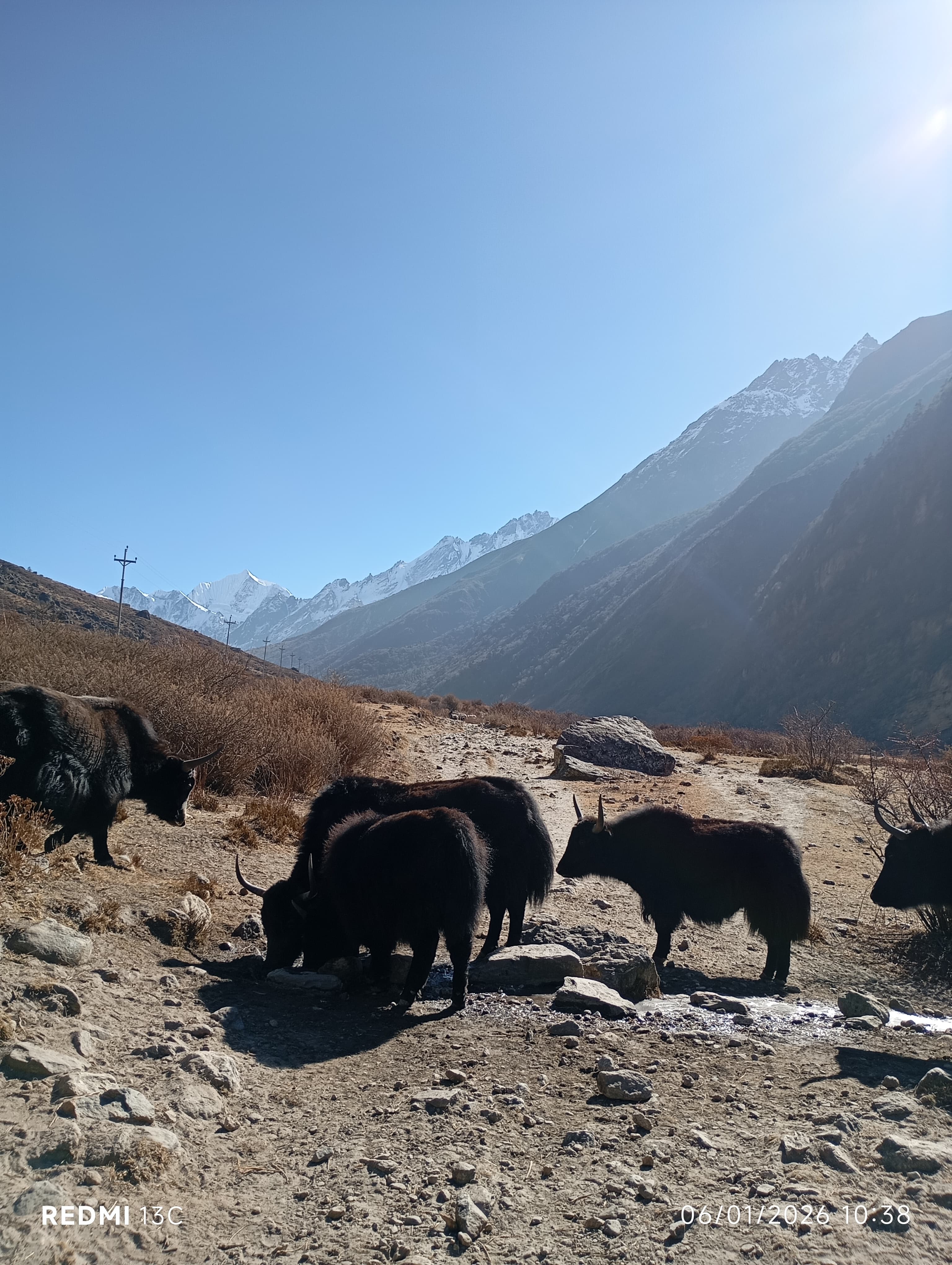 ギャラリー画像 4